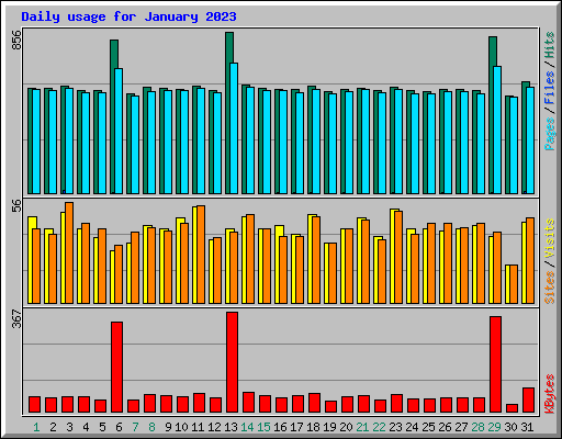 Daily usage for January 2023