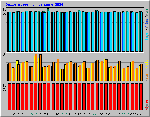 Daily usage for January 2024