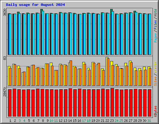 Daily usage for August 2024
