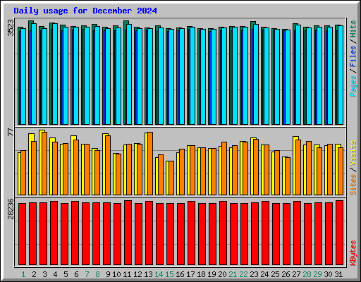 Daily usage for December 2024