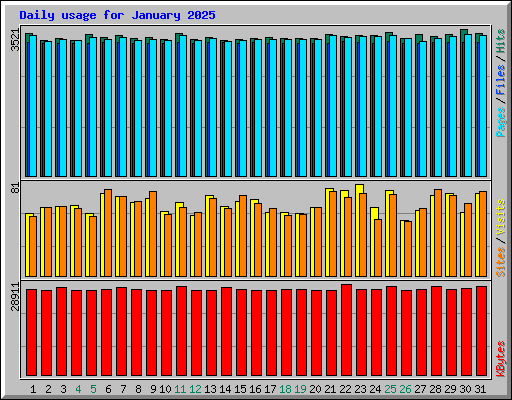 Daily usage for January 2025