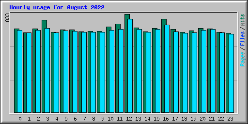 Hourly usage for August 2022