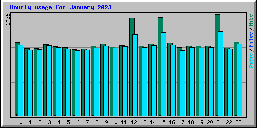 Hourly usage for January 2023