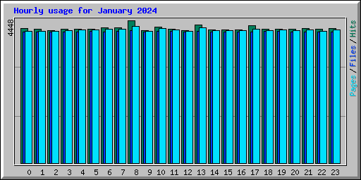 Hourly usage for January 2024