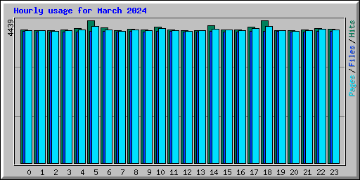 Hourly usage for March 2024