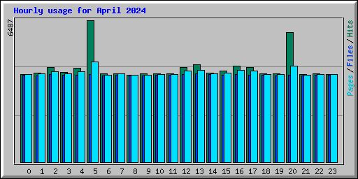 Hourly usage for April 2024