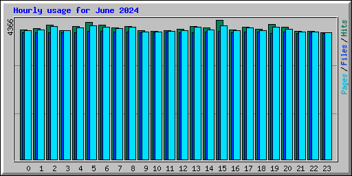 Hourly usage for June 2024