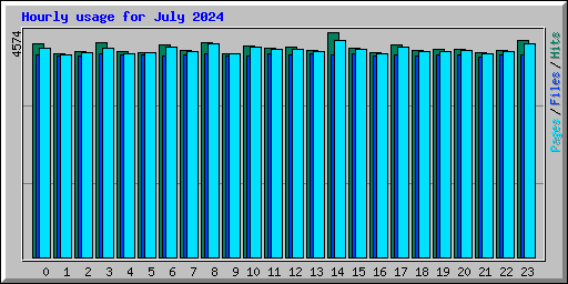 Hourly usage for July 2024