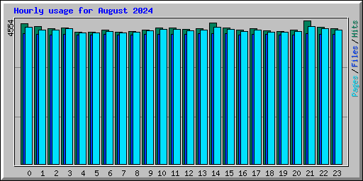Hourly usage for August 2024