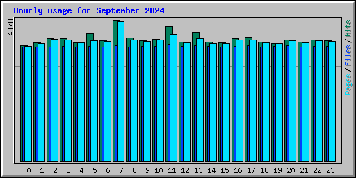 Hourly usage for September 2024