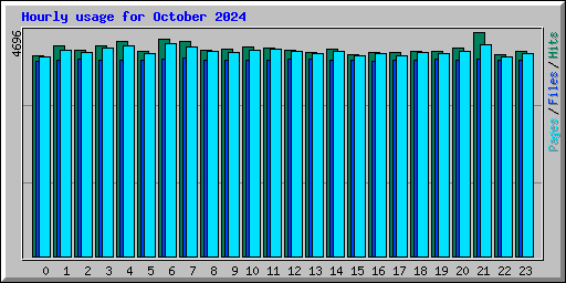 Hourly usage for October 2024