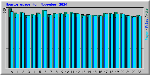 Hourly usage for November 2024
