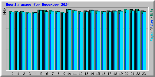 Hourly usage for December 2024