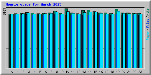 Hourly usage for March 2025