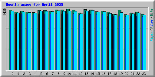 Hourly usage for April 2025