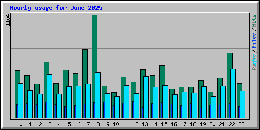 Hourly usage for June 2025