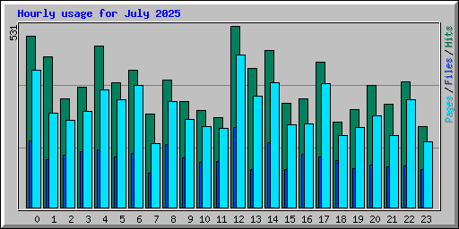 Hourly usage for July 2025