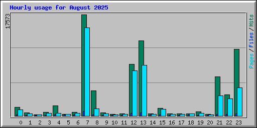 Hourly usage for August 2025