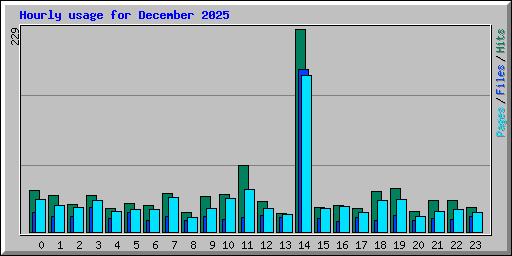 Hourly usage for December 2025