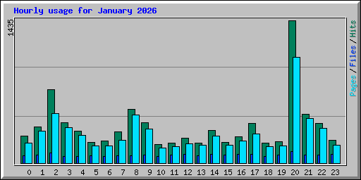 Hourly usage for January 2026